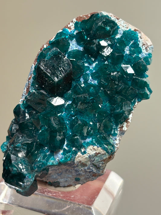 Dioptase with Shattuckite
