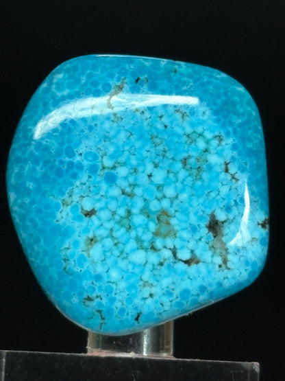 Turquoise Cabochon