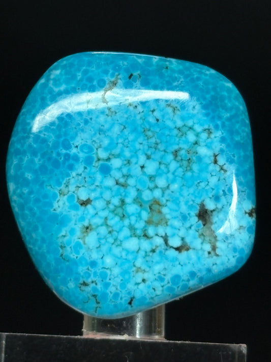 Turquoise Cabochon