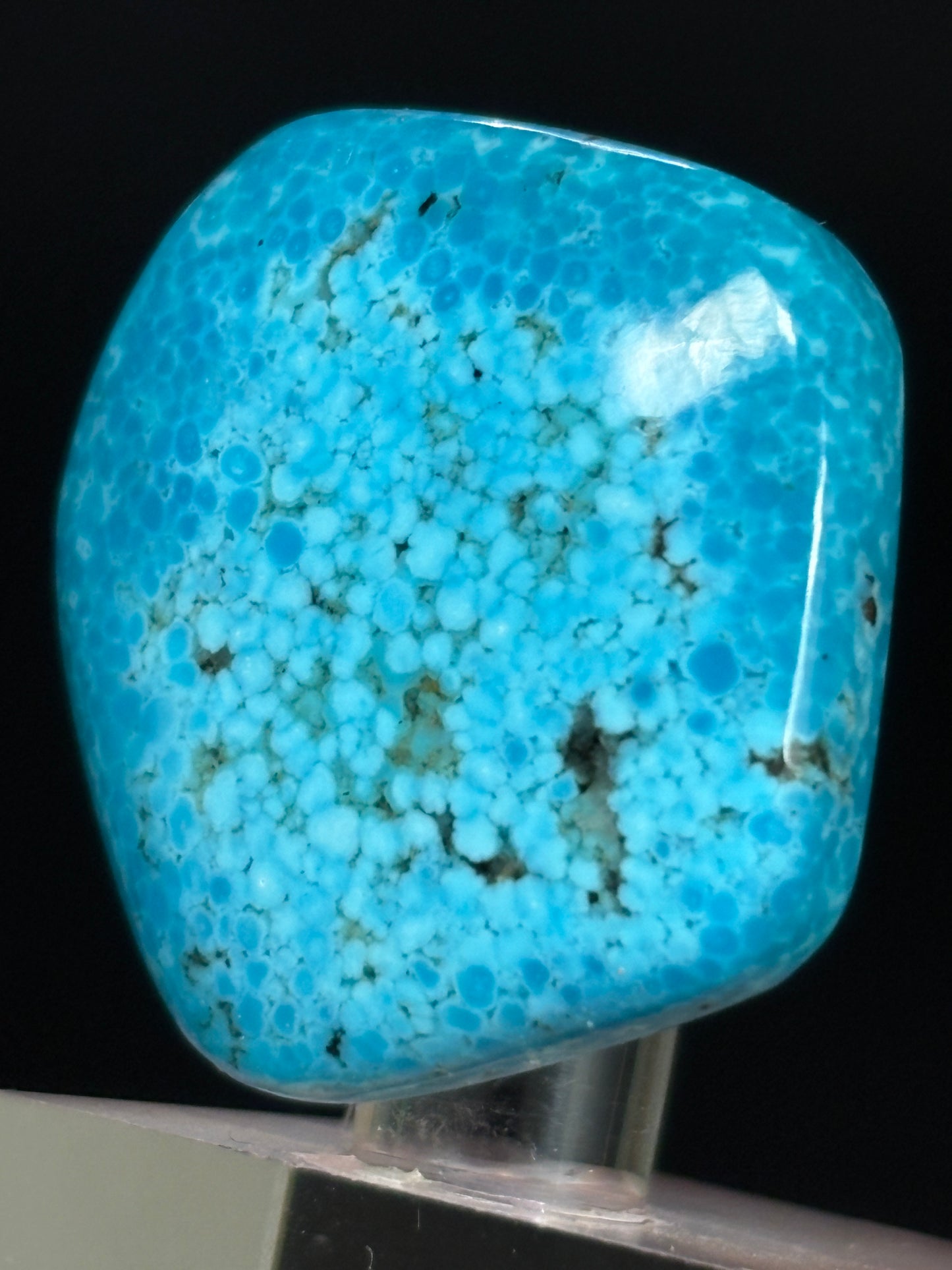 Turquoise Cabochon