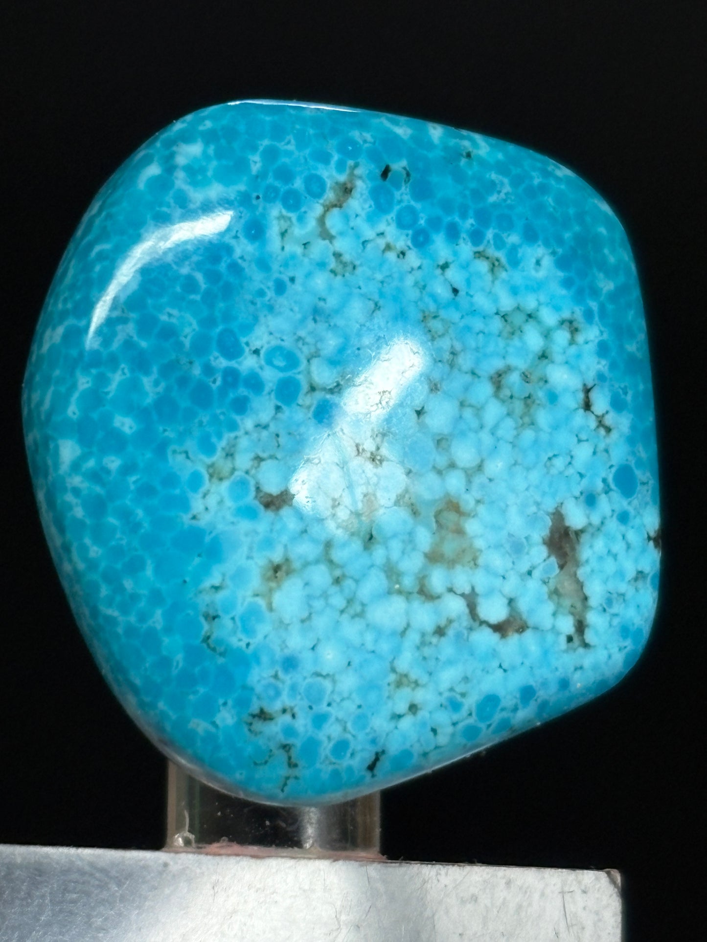 Turquoise Cabochon