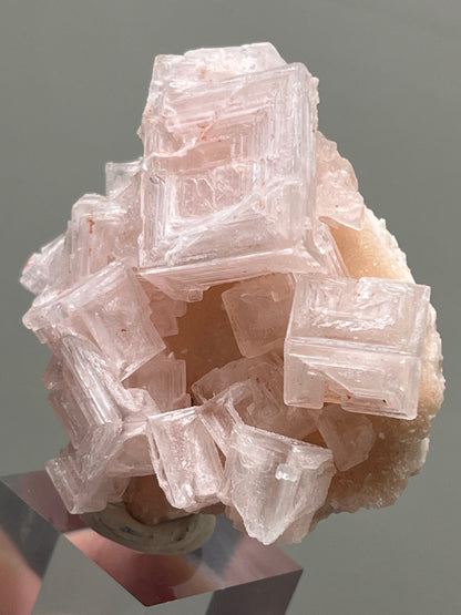 Pink Halite