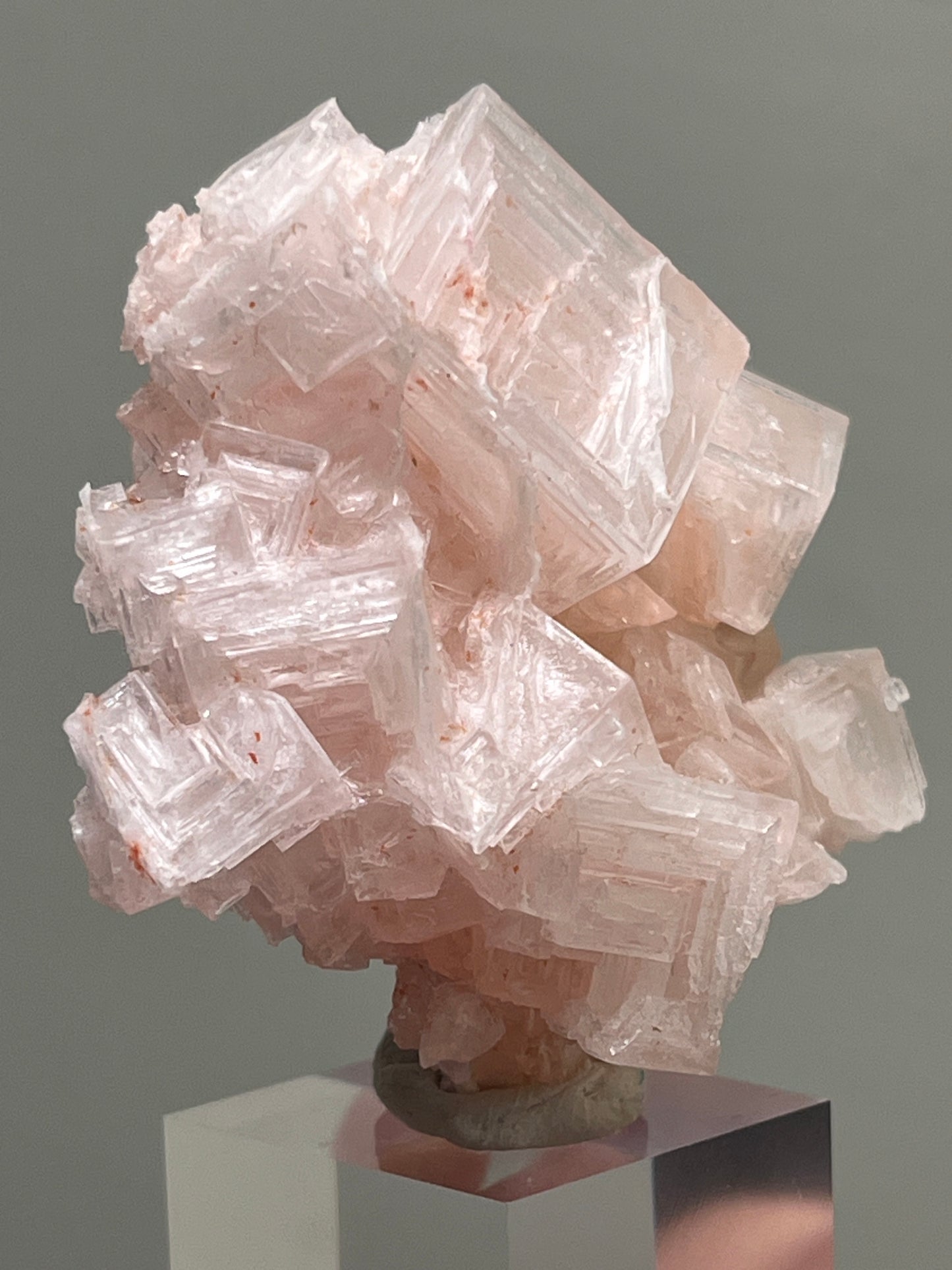 Pink Halite