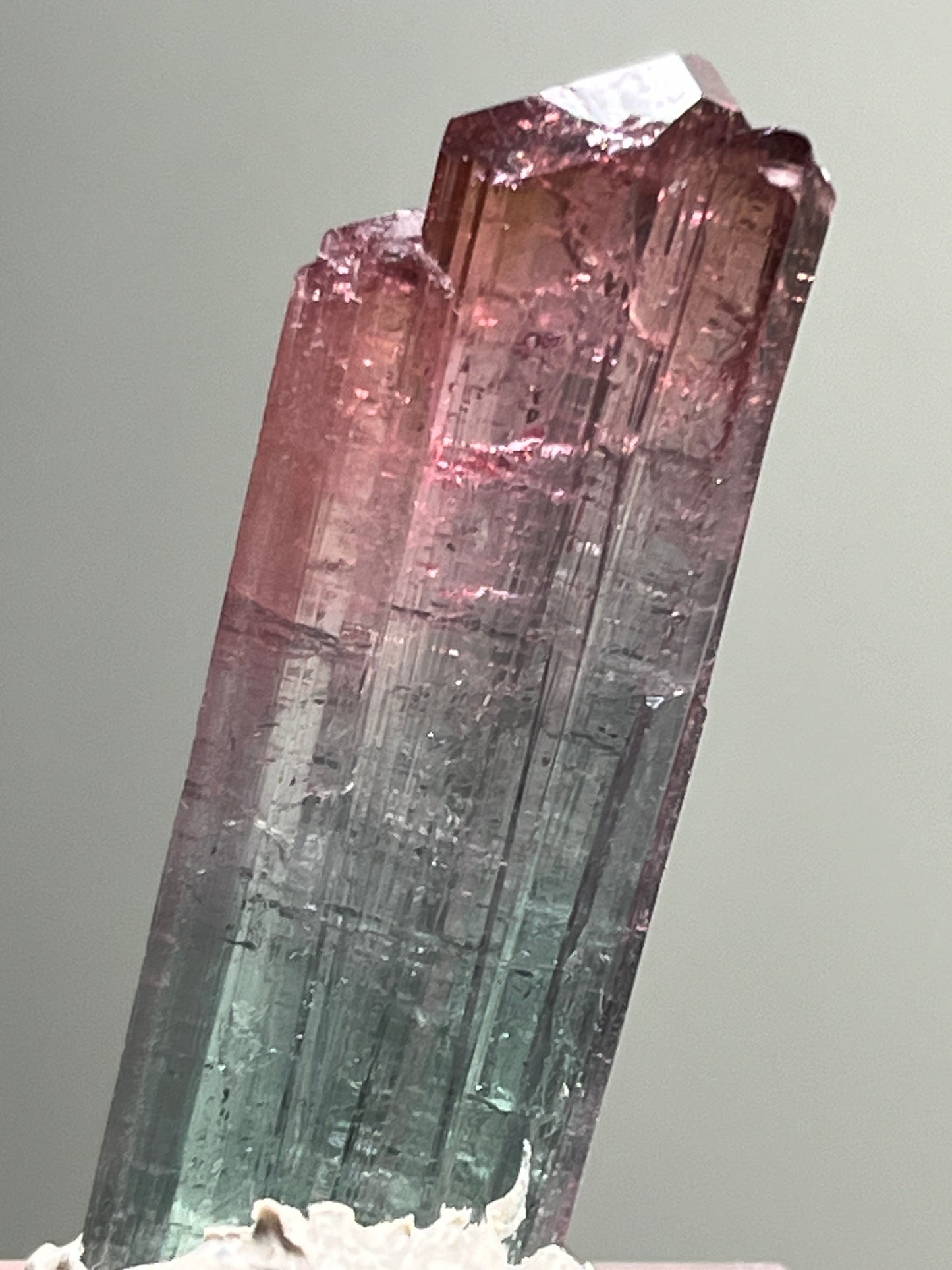 Bi-Color Elbaite Tourmaline