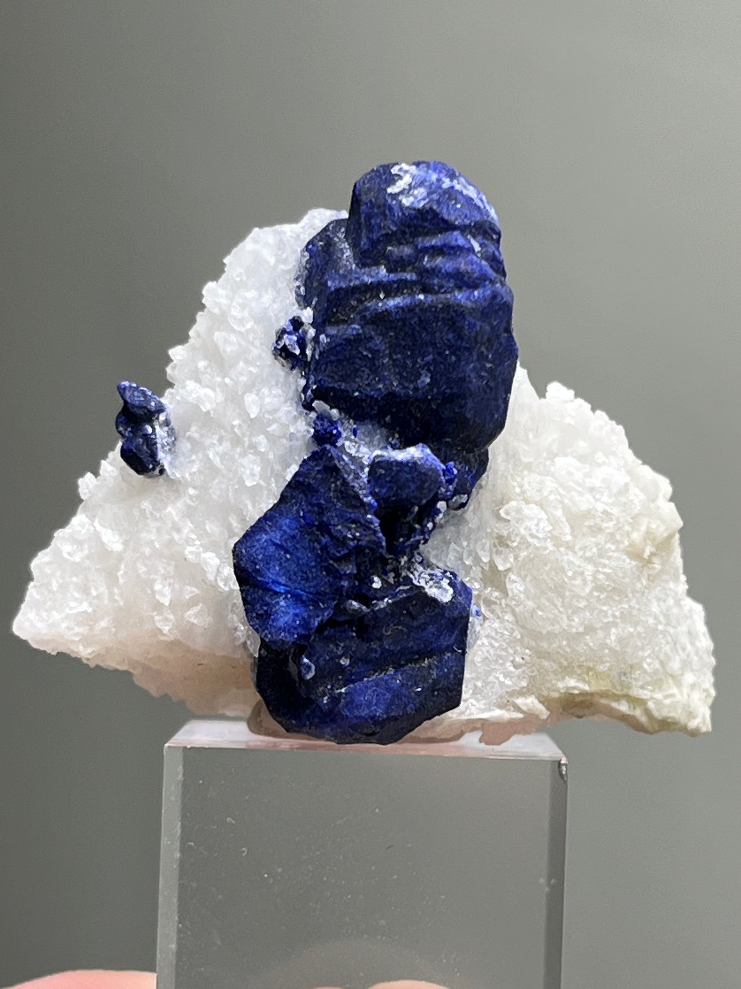 Haüyne var. Lazurite on quartz