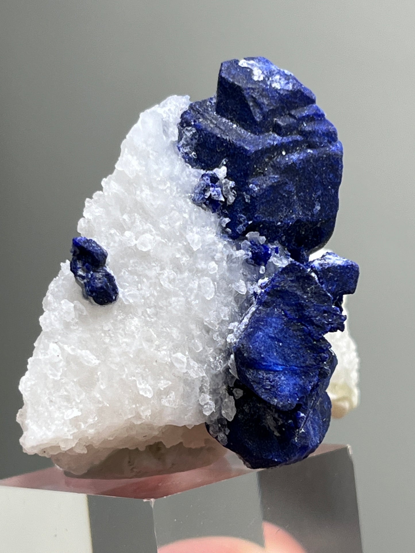 Haüyne var. Lazurite on quartz