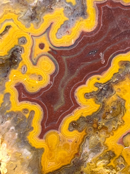 Kentucky Agate