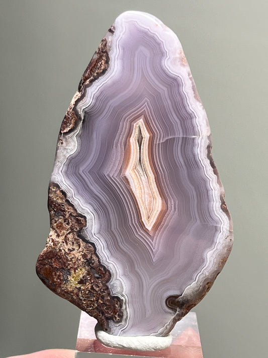 Polished Laguna Agate