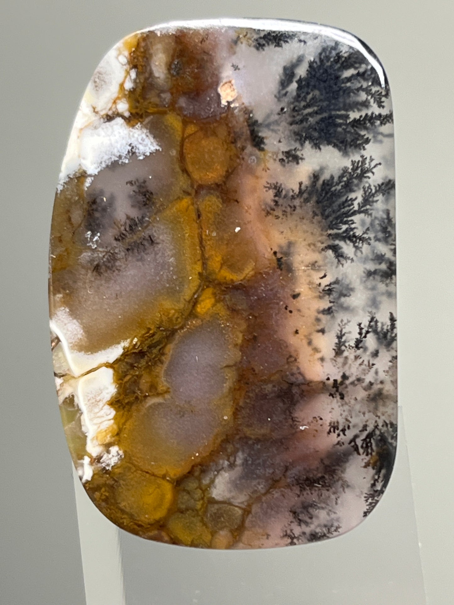 Montana Plume Agate Cabochon