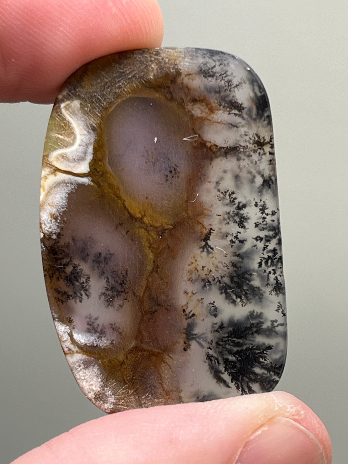 Montana Plume Agate Cabochon