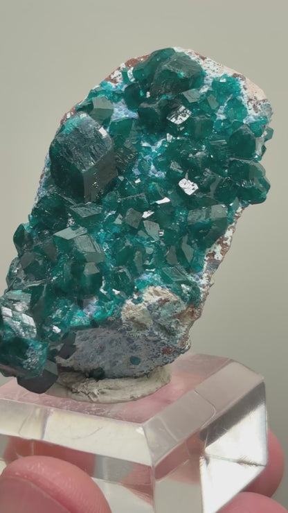 Dioptase with Shattuckite