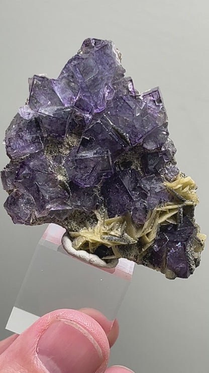 Fluorite with Siderite