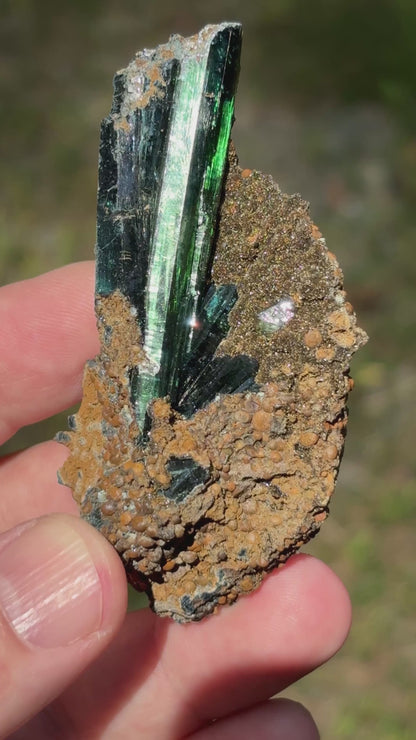 Vivianite with Ludlamite and Siderite