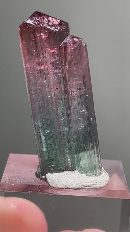 Bi-Color Elbaite Tourmaline