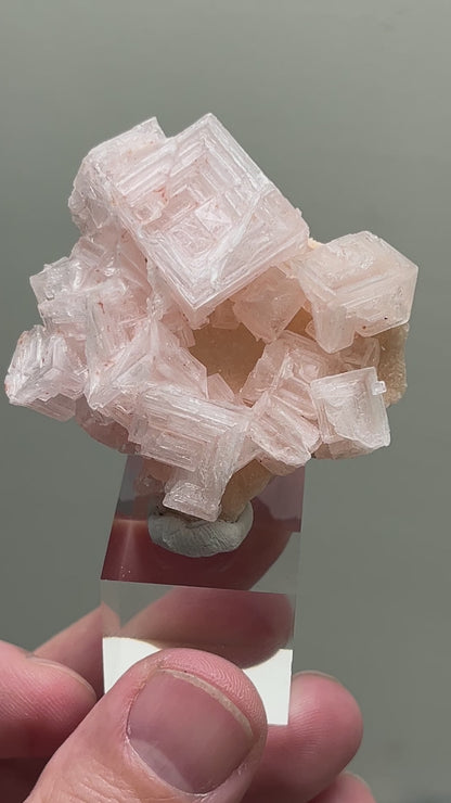 Pink Halite