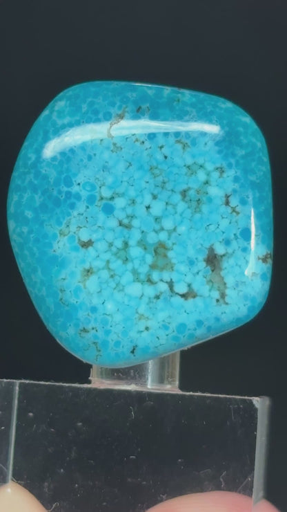 Turquoise Cabochon