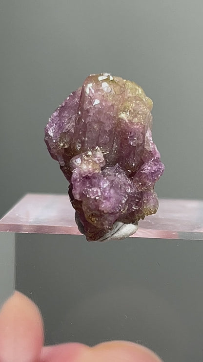 Vesuvianite