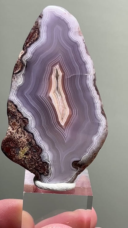 Polished Laguna Agate