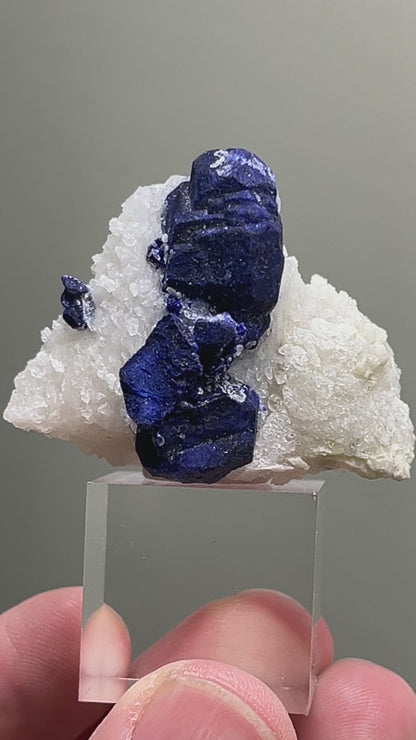 Haüyne var. Lazurite on quartz